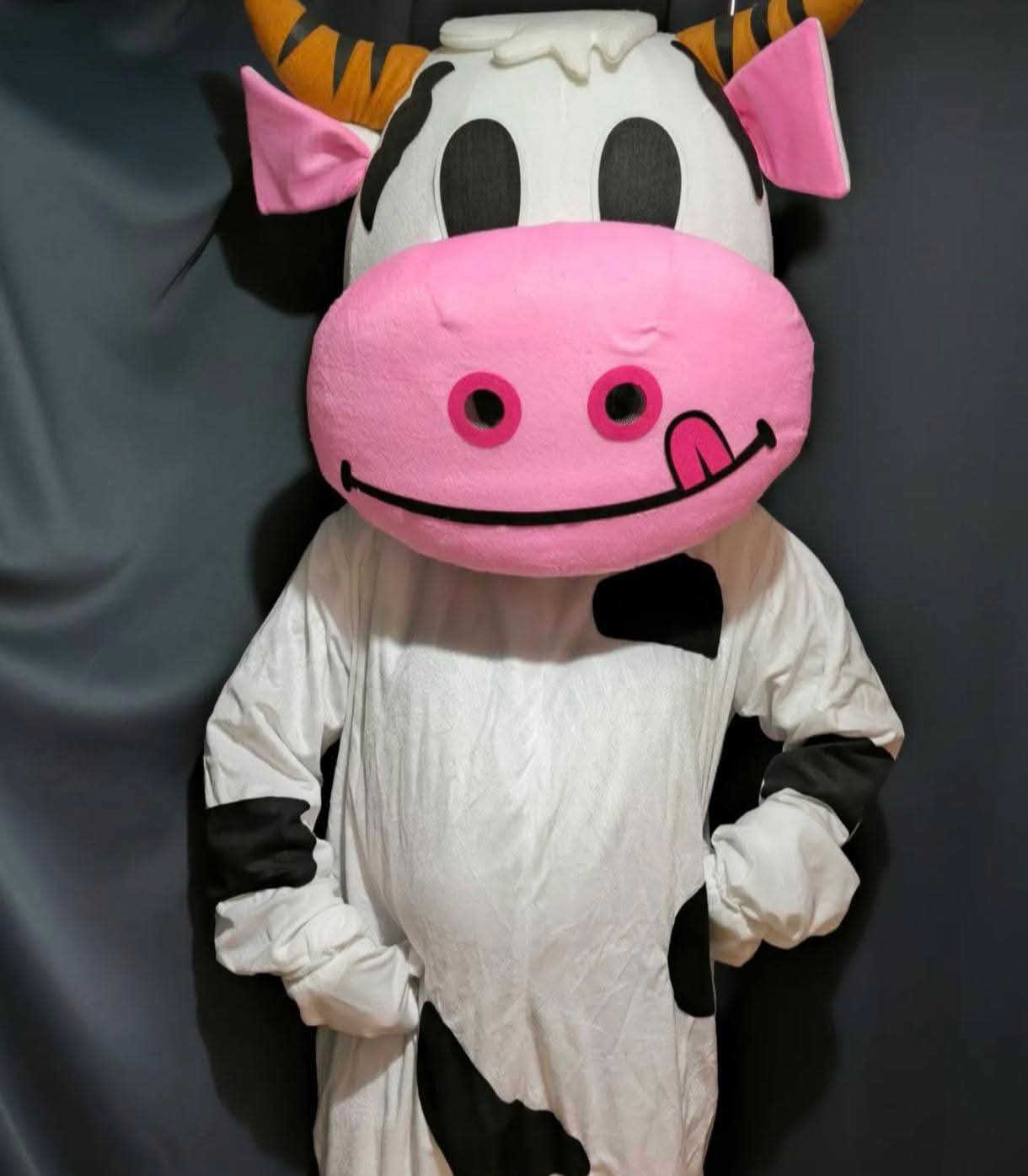 Vaca Lola